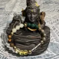 Money Magnet Bracelet